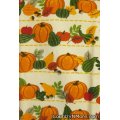 fall pumpkins squash oven door towel