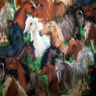 herd wild horses fabric