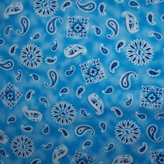 pretty blue paisley fabric